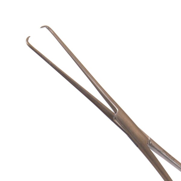 Pince Pozzi-Palmer Spengler 22 cm inox – SMEDIC MAROC
